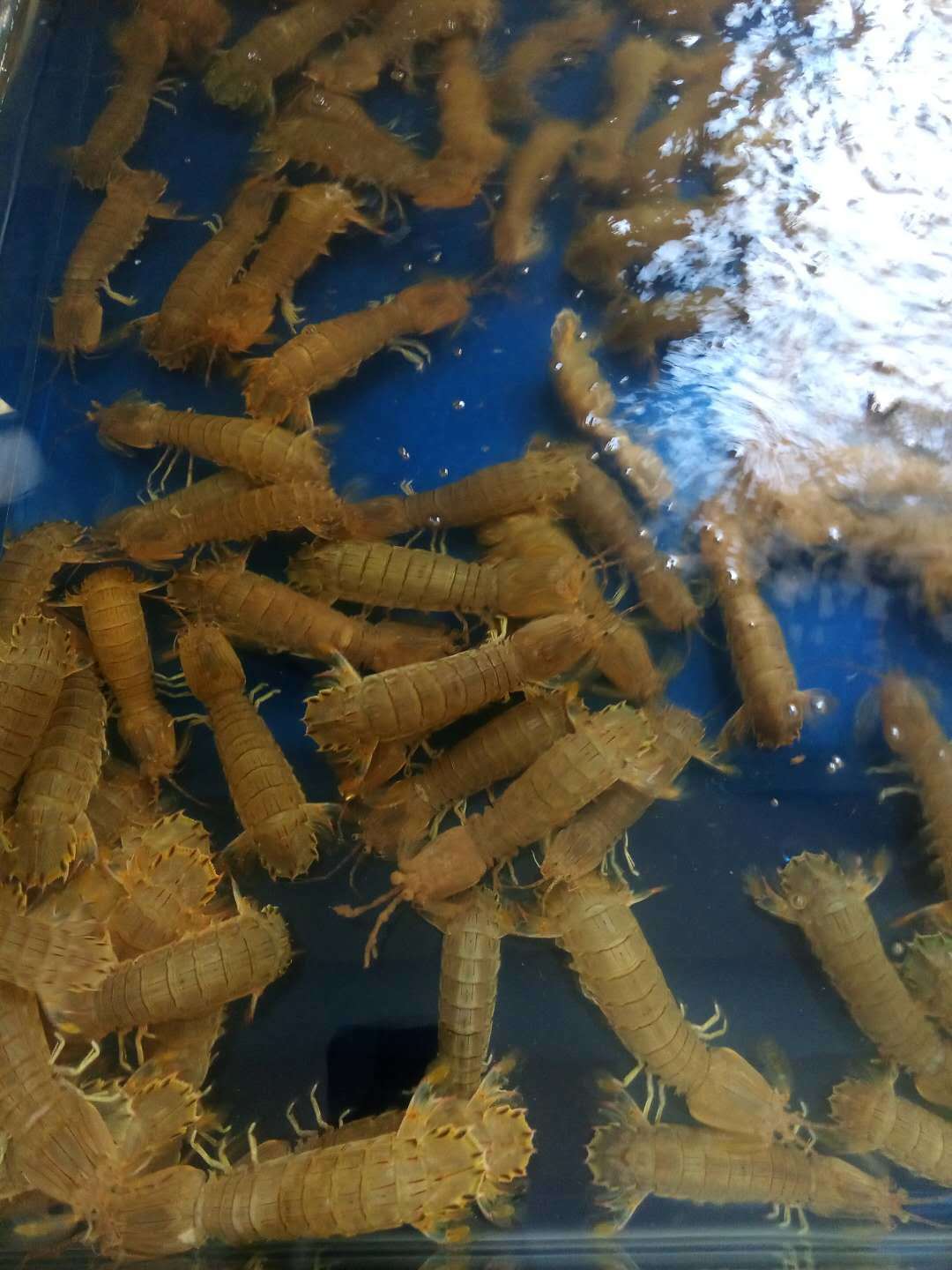 秦皇岛带孩子旅游攻略,秦皇岛带孩子游玩攻略