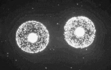 清风计划,清风计划原创