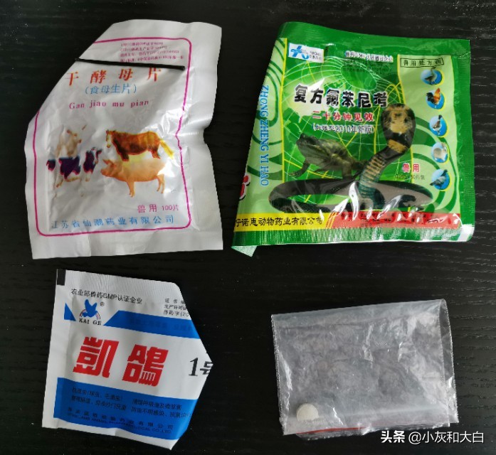 小鸟病得很严重怎么办,小鸟生病了该怎么照顾
