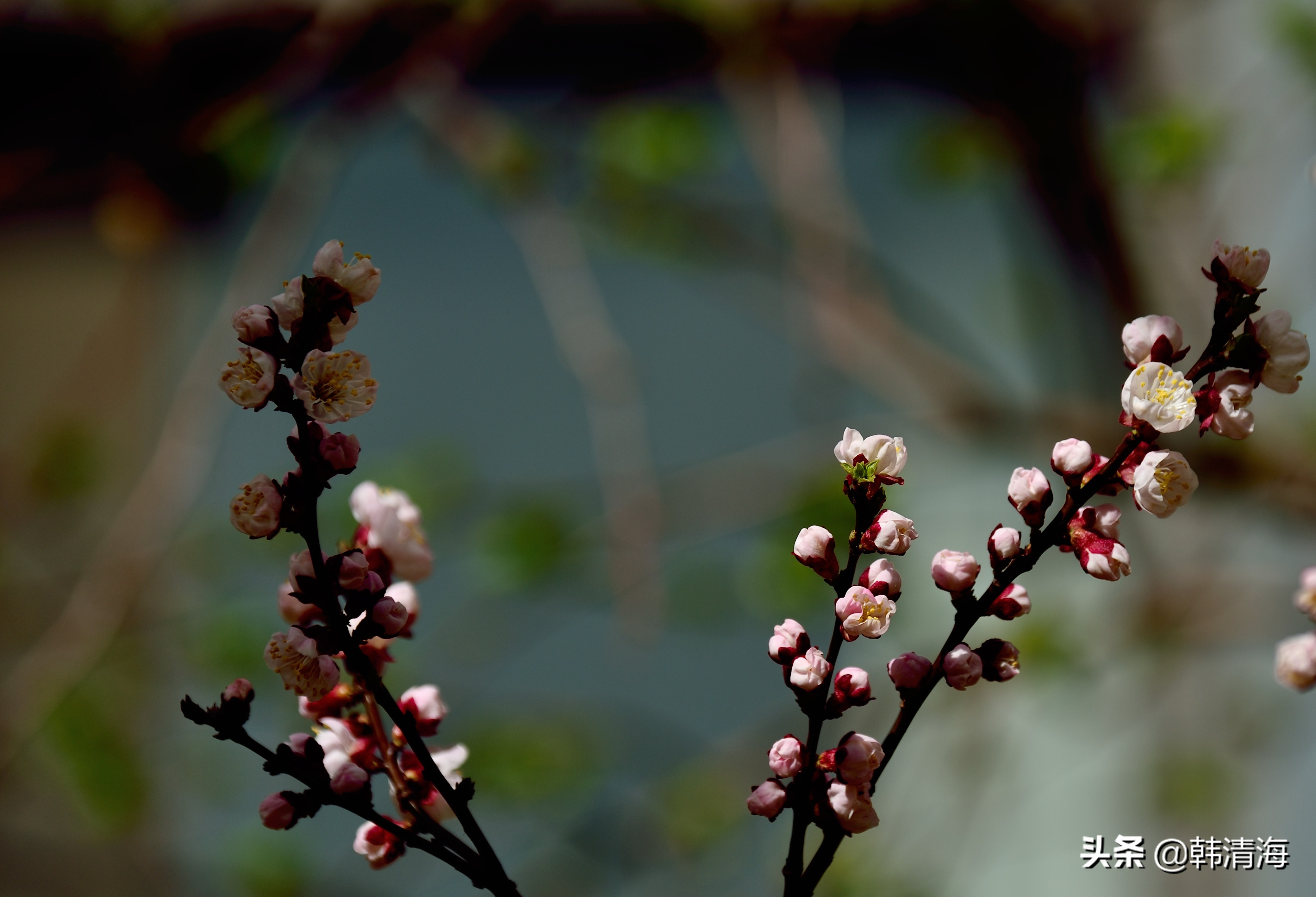 天津市南开区水畔花园简介,天津南开水畔花园洋房