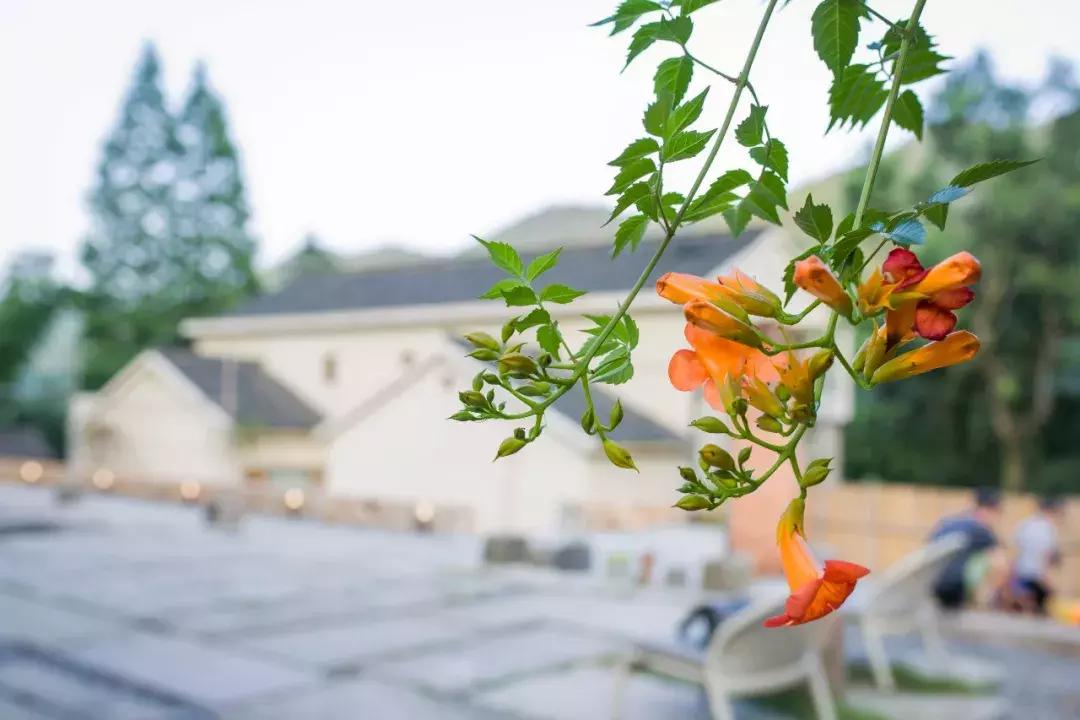 399元无边泳池,无边泳池抖音优惠团购