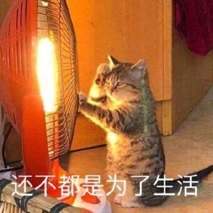 有了金山文档，直男也能稳稳当当做代购了