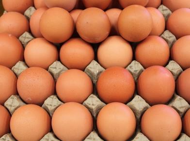 9岁女儿总是说肚子疼是怎么回事,18岁孩子胃疼是不是胃炎啊