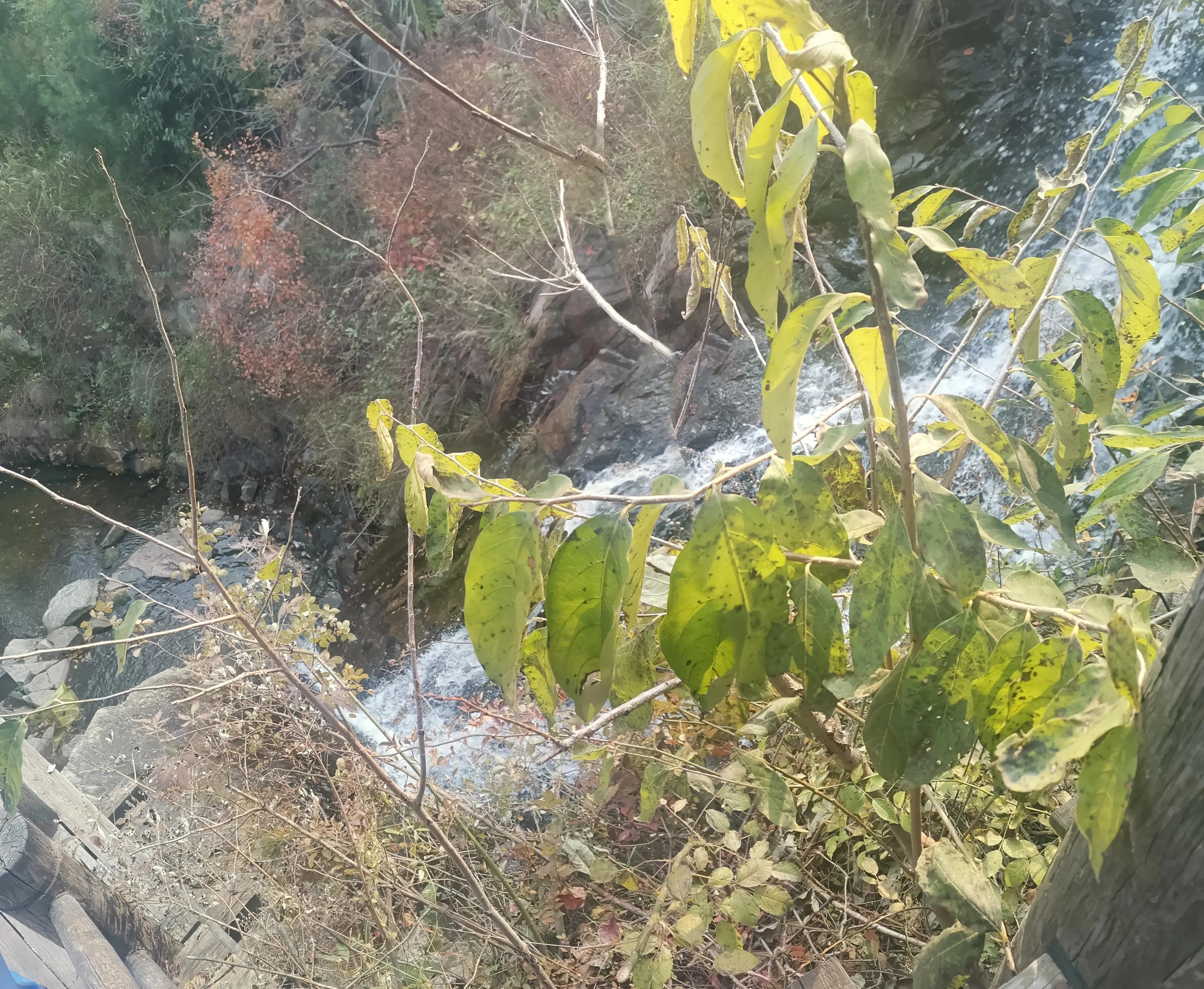 济南九如山瀑布群风景区,济南九如山瀑布