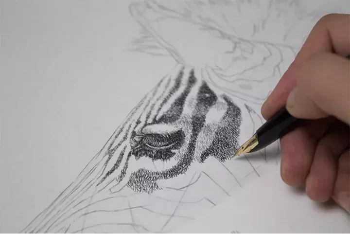 小央美钢笔画视频,极品五大钢笔画简直美爆