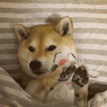 盘点十大好用面膜排名图,2020面膜排行榜10强推荐