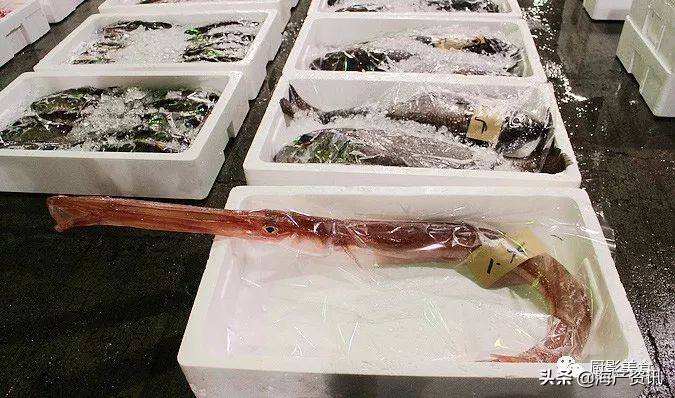 世界十大顶级海鲜品种,全球顶级海鲜食材大赏