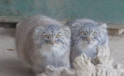 笑话十则你个死鬼也不来帮一把,笑话十则笑翻天