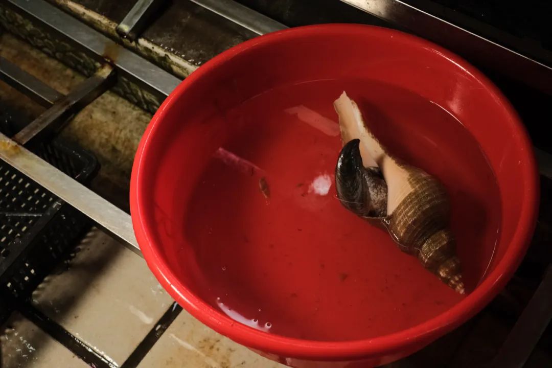 吃中国蚝的好处,吃蚝必选之地