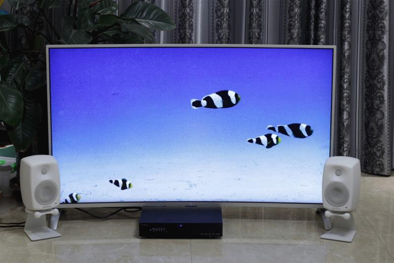 真力g2有源音响 (真力g2有源音箱听交响乐效果如何)