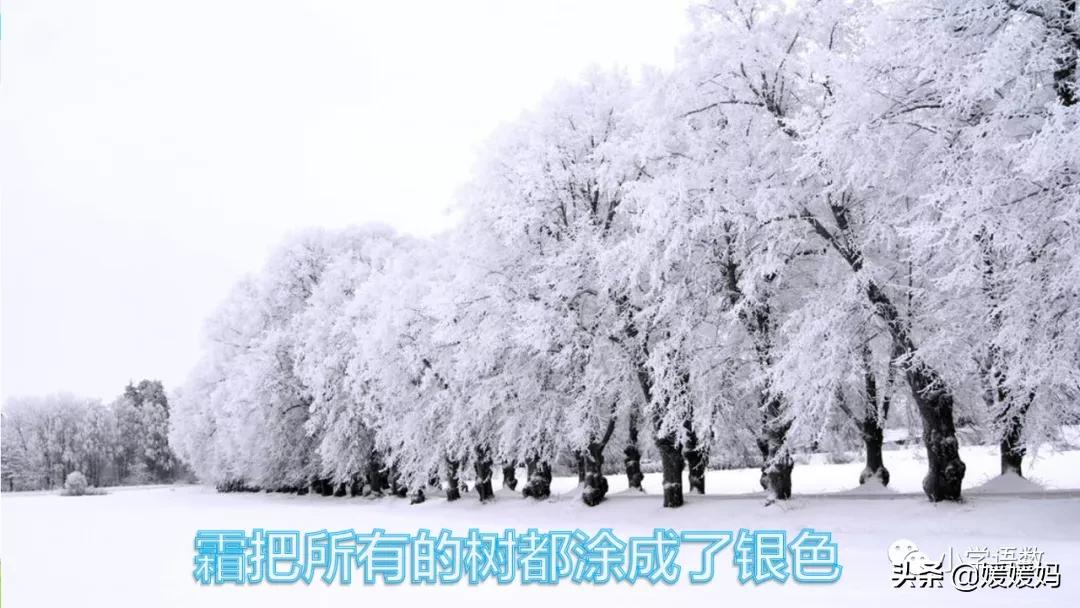 四年级下册巨人的花园课后题答案,四年级下册27课巨人的花园笔记