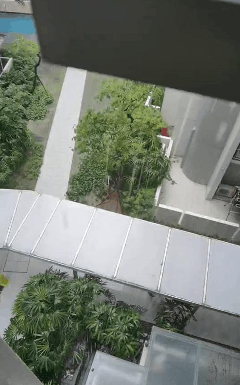 新加坡48小时超强暴雨,新加坡多地遭暴雨侵袭