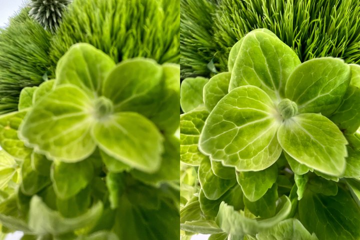 iphone13promax和华为mate40pro,iphone13promaxa15