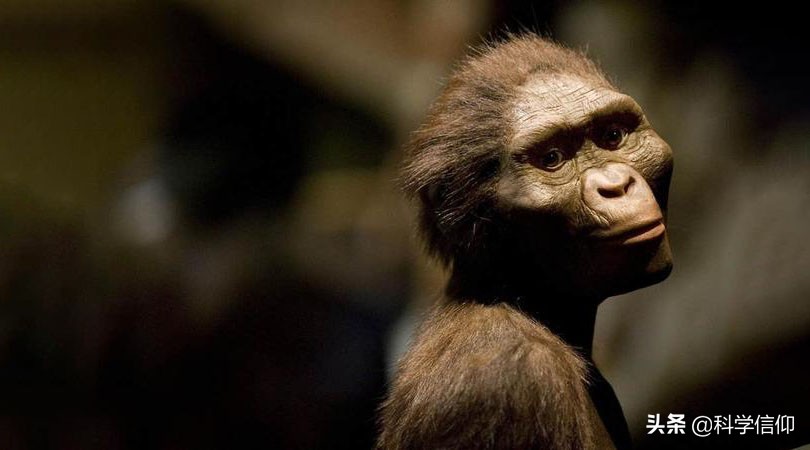 世界各地人种不同，全部起源于非洲？中国人未必