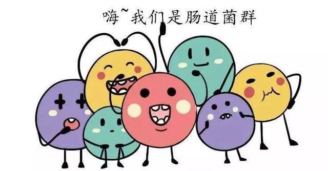 益生菌在儿科的临床应用,益生菌的十大功能