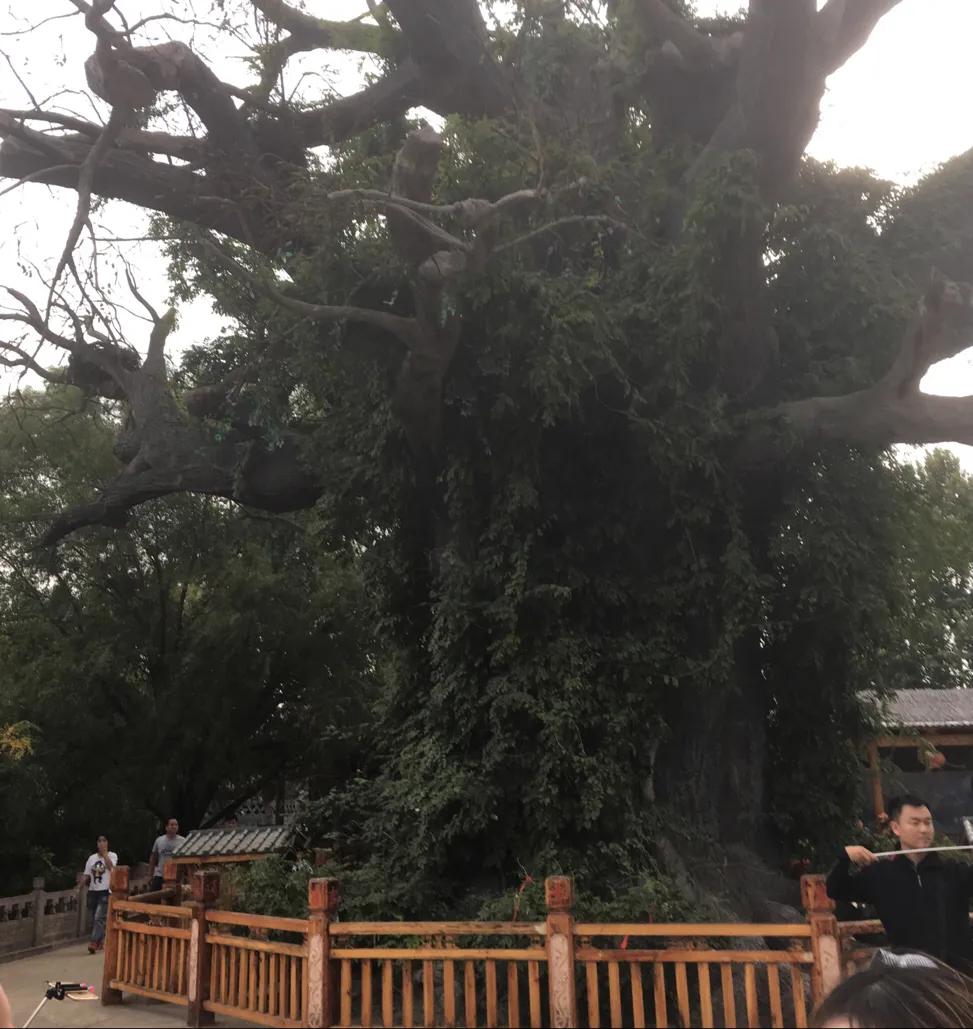 你右脚小拇指指甲盖是爽的吗?