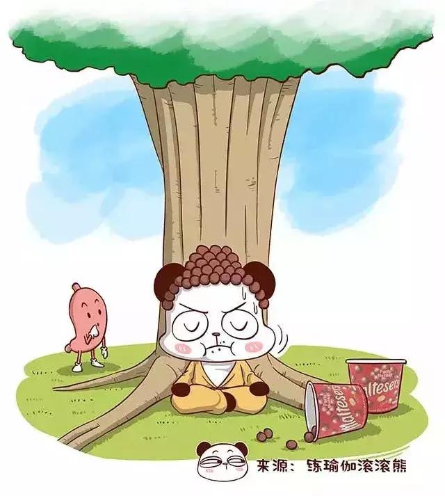 哈他瑜伽60分钟功效有哪些,经典哈他瑜伽全集