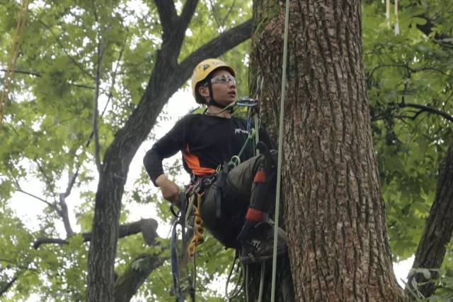 有一种低调，叫湖北大学！