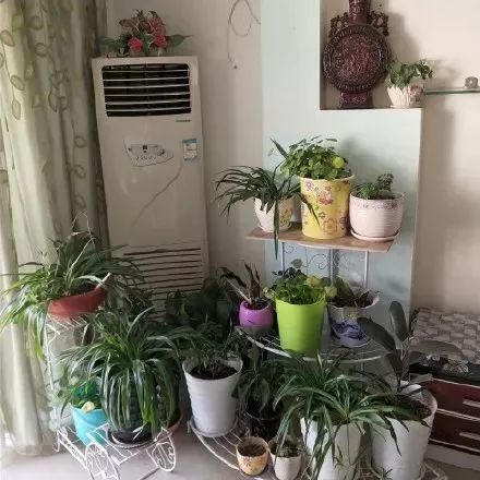 花30万装修新房变公共厕所,装修花了40万感觉被坑了