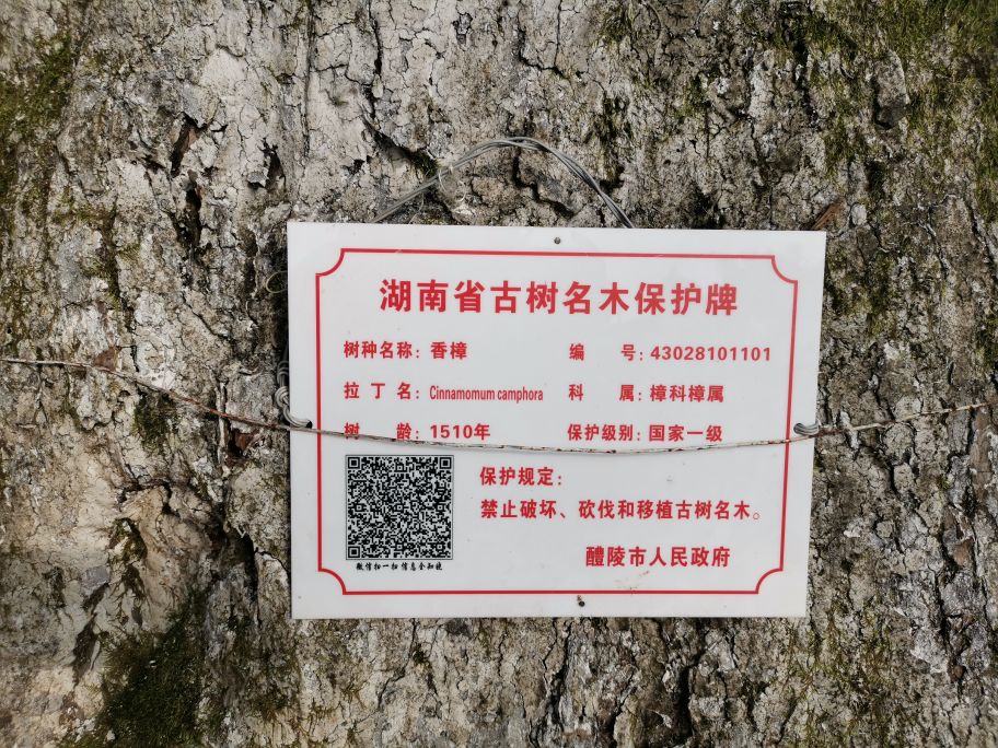 长沙自驾旅游路线推荐岳麓山景区,湖南醴陵渌江桥旁状元洲