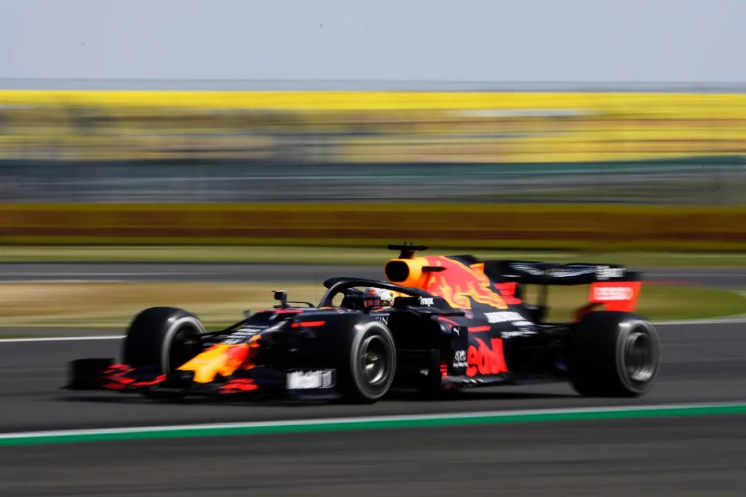 罗斯布朗谈霍肯伯格,罗斯布朗评价维斯塔