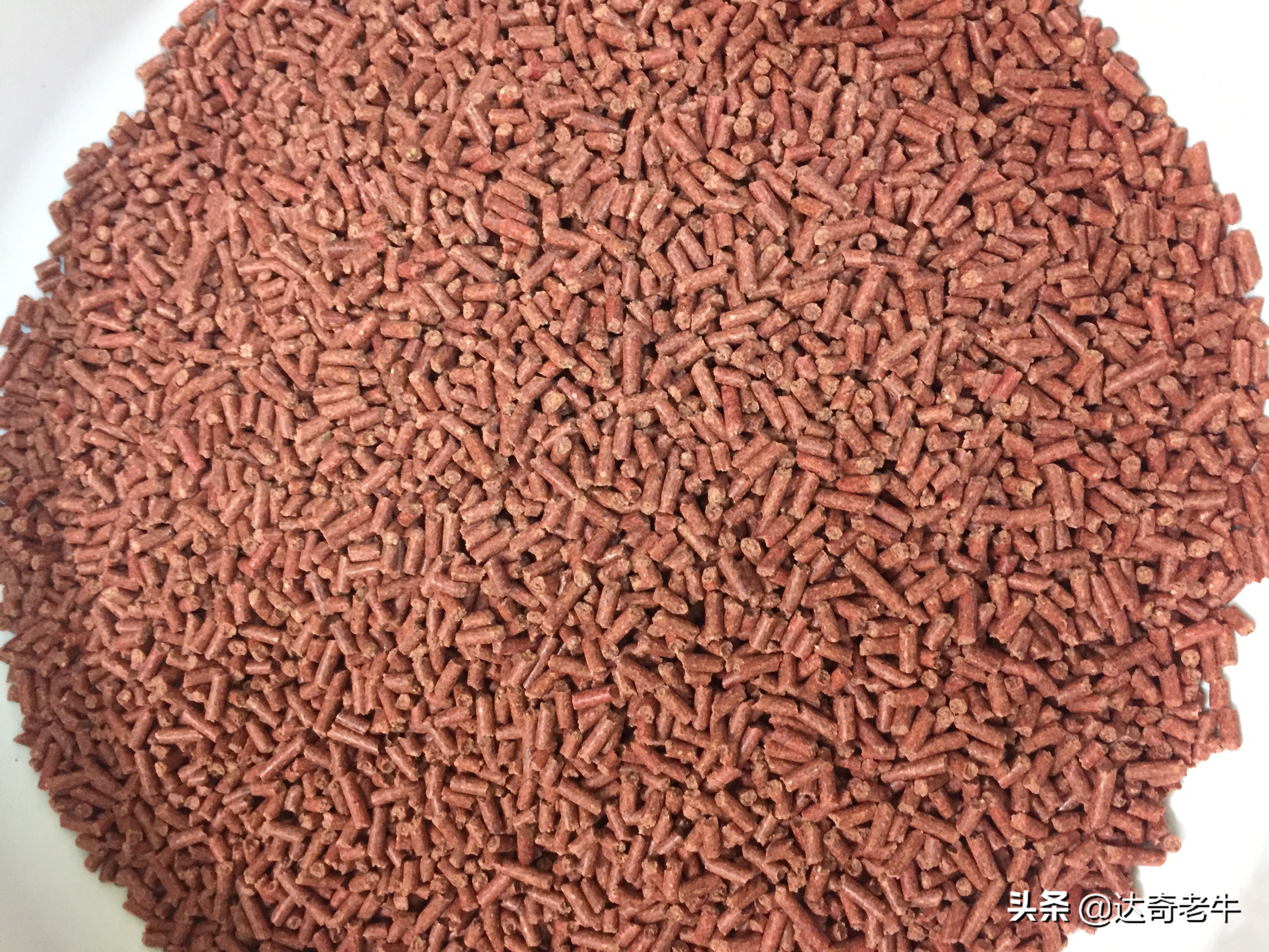 颗粒粉碎器钓鱼,野钓装备轻量化马扎