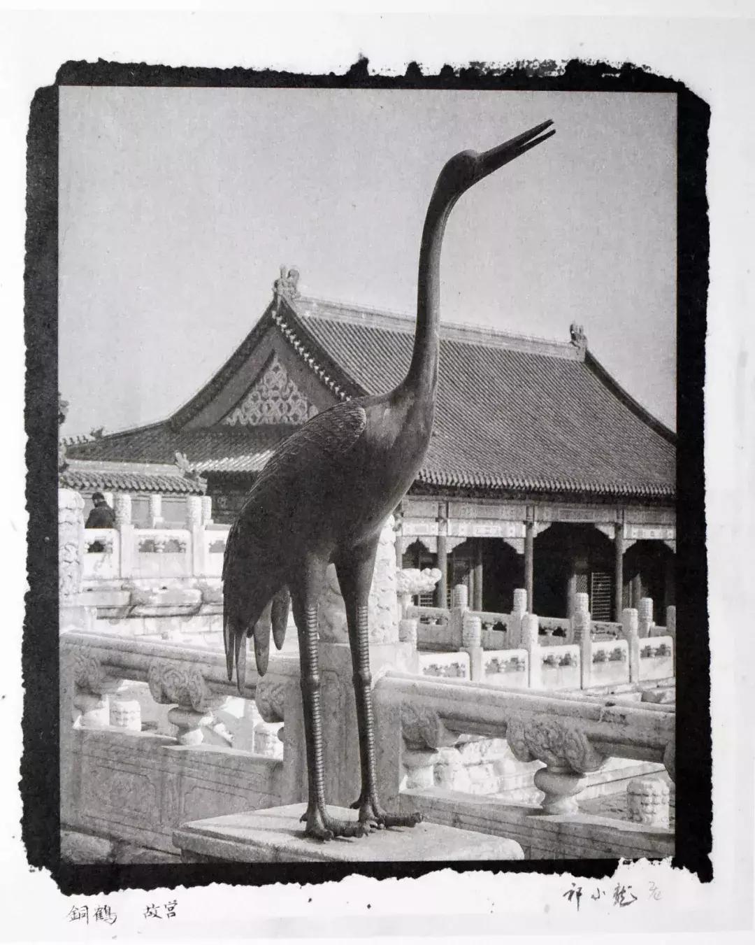 影博会,影展展会