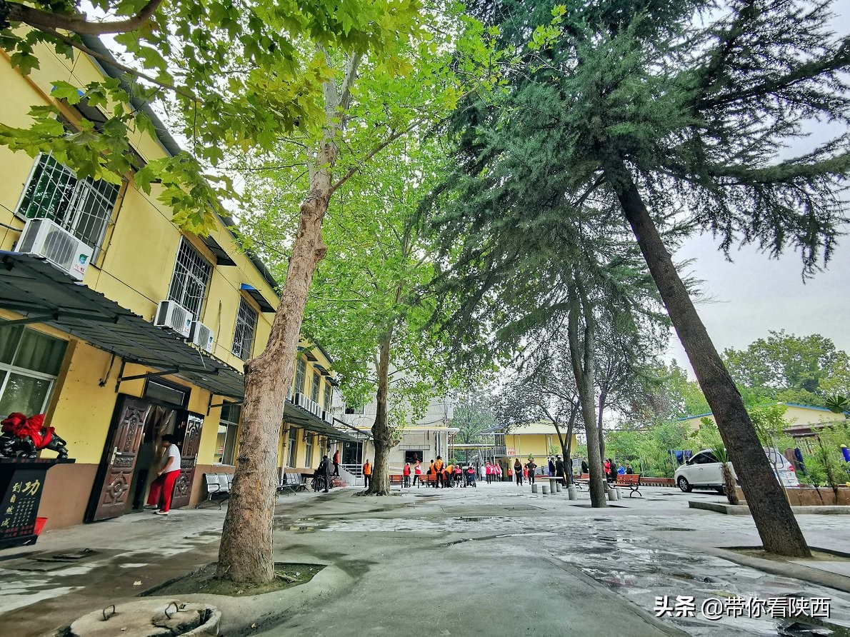 谷泽天下生态农场走进渭南市景华医养院举办重阳节爱心慰问活动