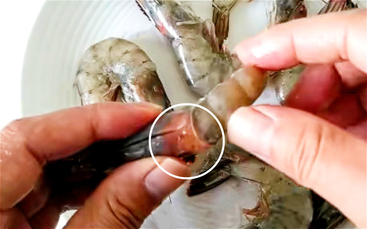 买的冻虾很腥怎么办,买虾冰冻