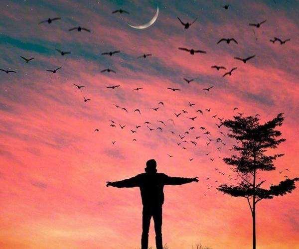 他是无脚的飞鸟，也是“永恒少年”