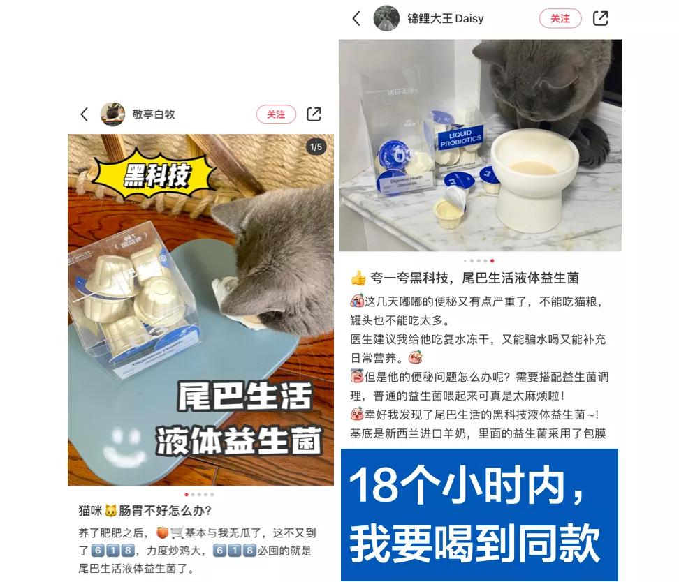 热销益生菌推荐,益生菌爆款第一