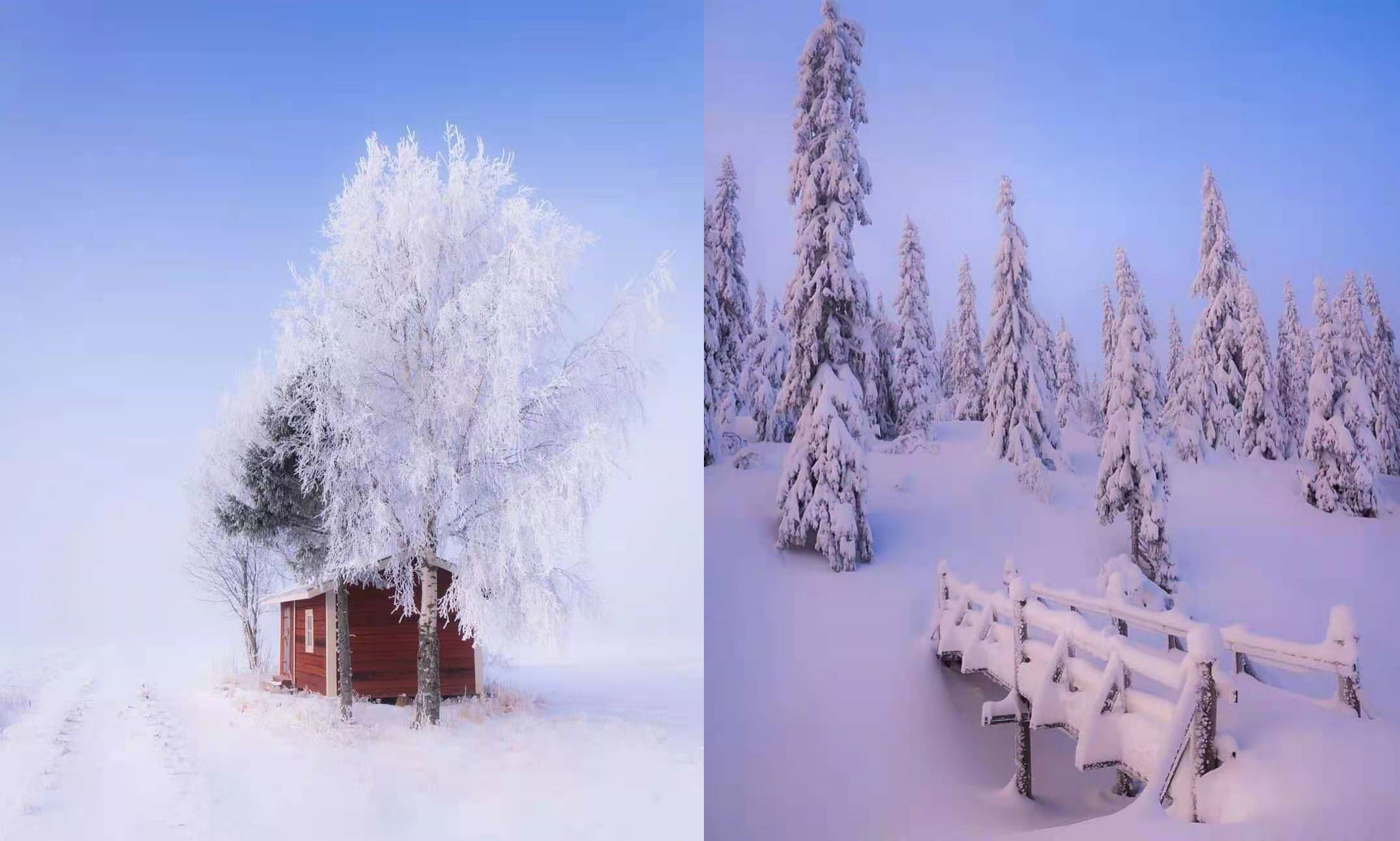 白色秋冬高级感穿搭,高级感白色秋冬穿搭