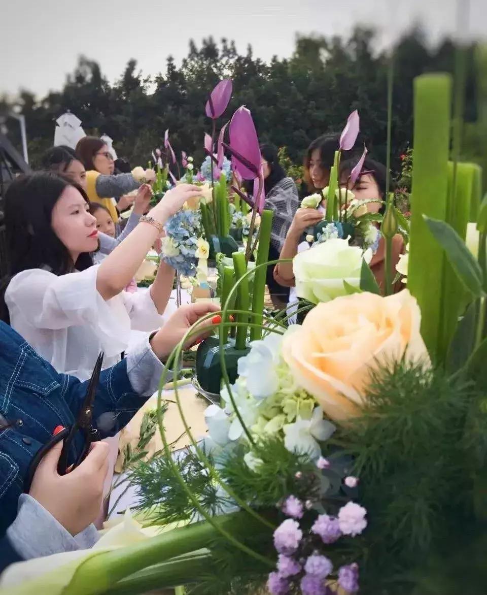 厦门这家超浪漫的鲜花餐厅,厦门最好看的花店