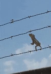 刚从后院挖出来的，大家帮我鉴定一下，我是不是要发财了？