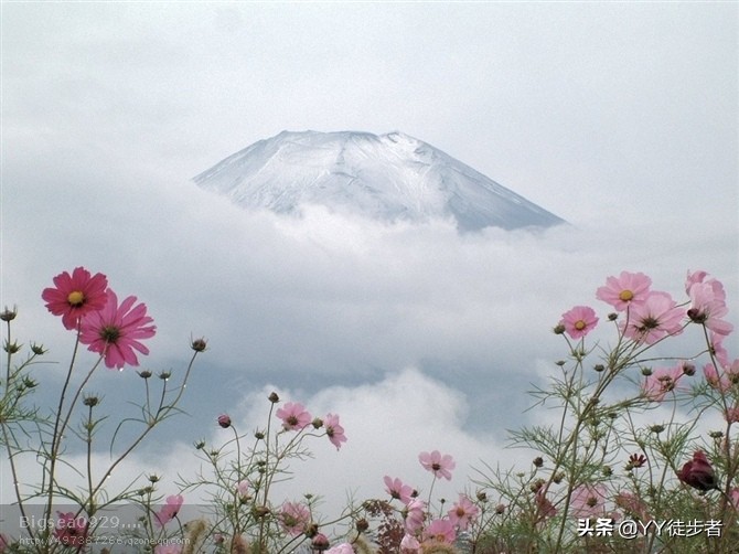 制作ppt的正确流程,制作一个ppt演示文稿的操作步骤