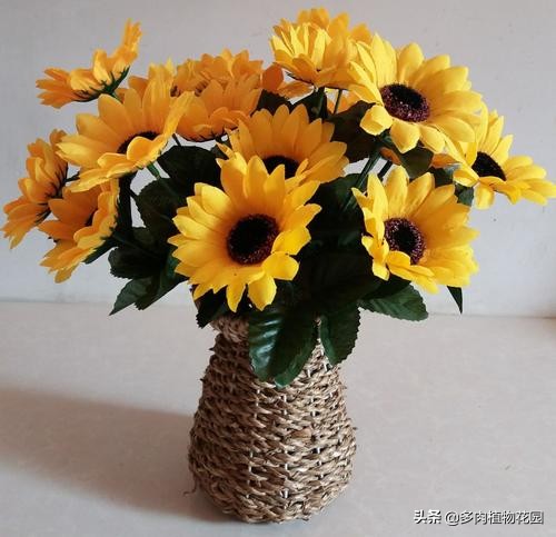 表示对老师感恩的花是什么花,什么花表示对老师的尊敬之情