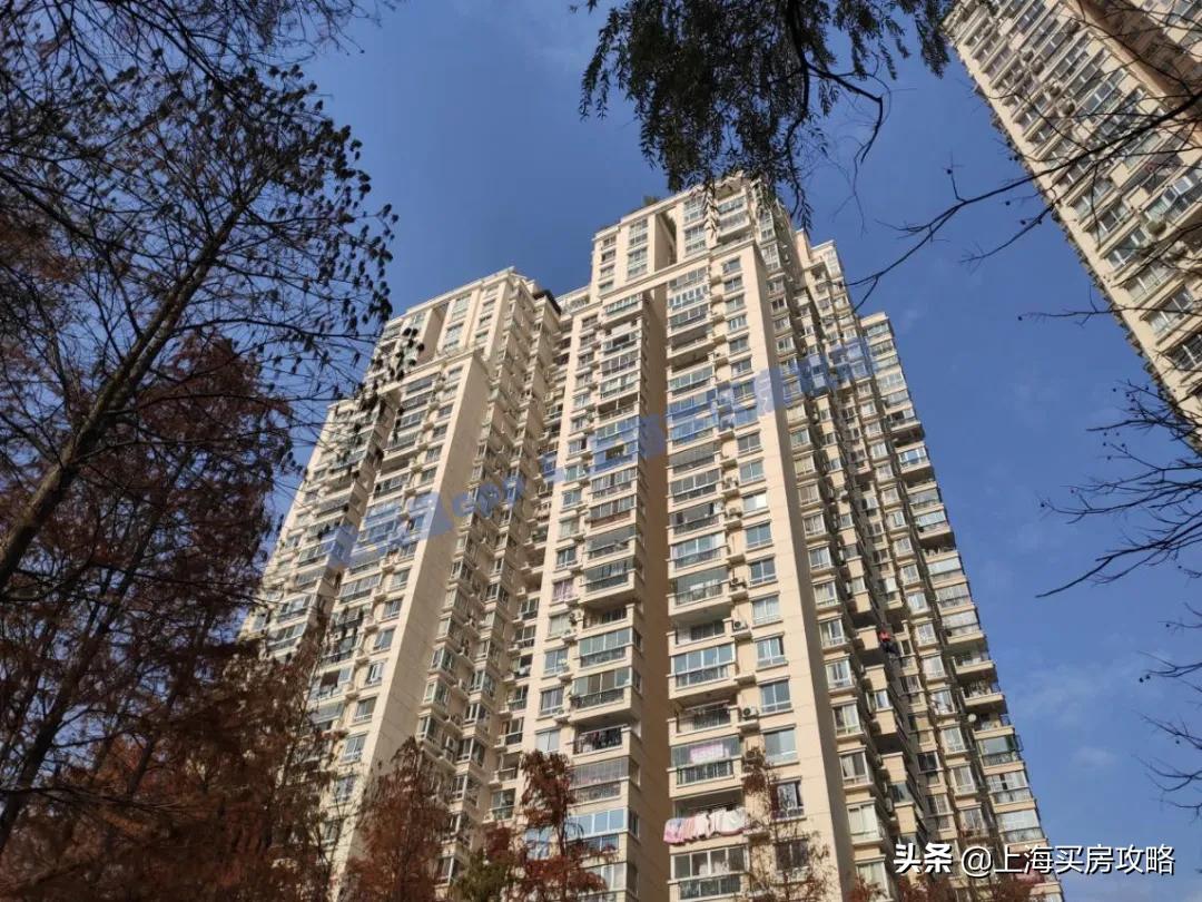 上海洋泾菊园实验学校录取率,洋泾菊园实验学校最新评价