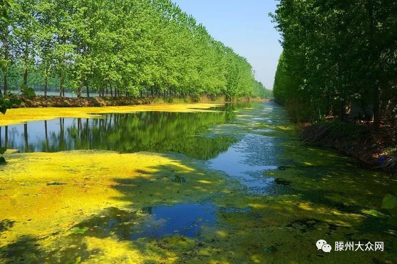 为什么要留在城市,为什么要留在家乡