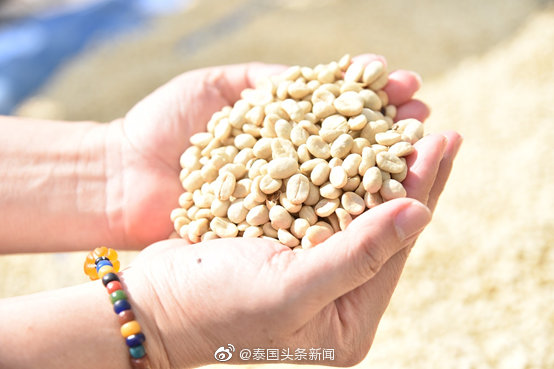 新冠疫情对亚洲经济影响,新冠疫情对国际贸易的影响