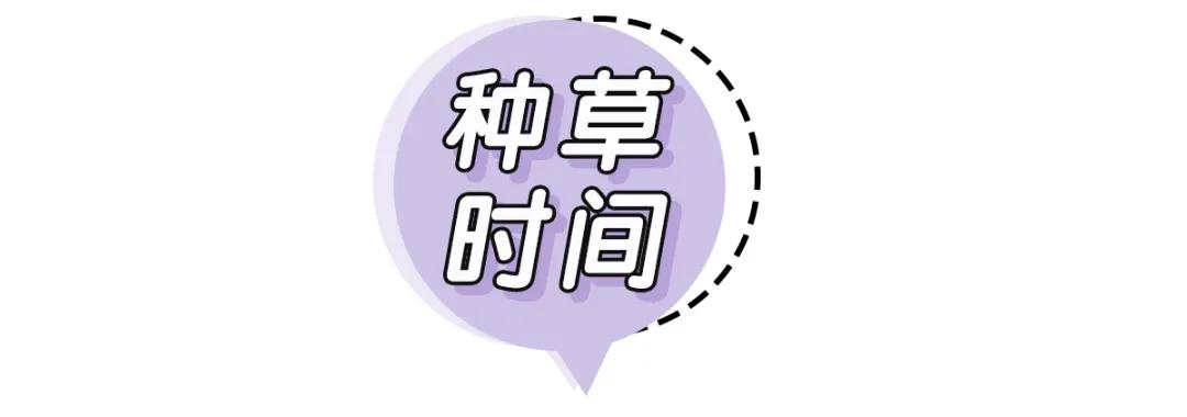 ck女包高级质感小众设计斜挎包,ck法国小众包包2023新款夏