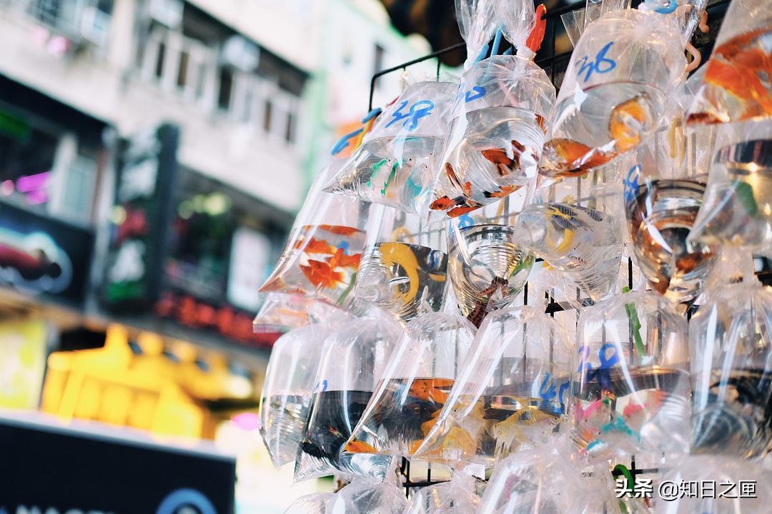 活色生香香港版,香港活色生香