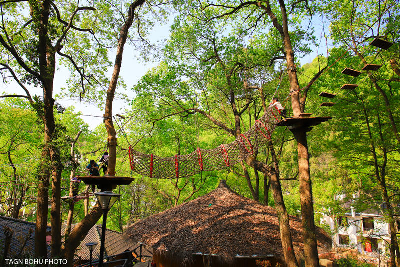 衢州飞越丛林探险乐园,浙江衢州深山