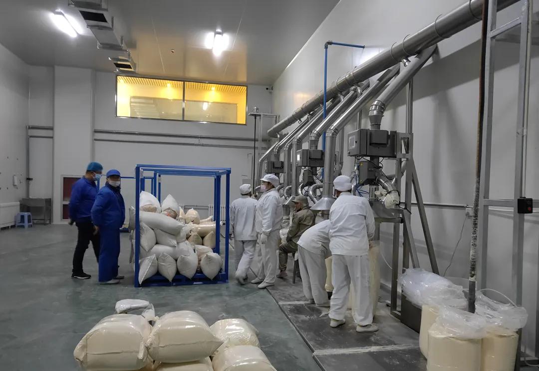 冲寒已觉东风暖什么意思,邯郸市最新复工时间表