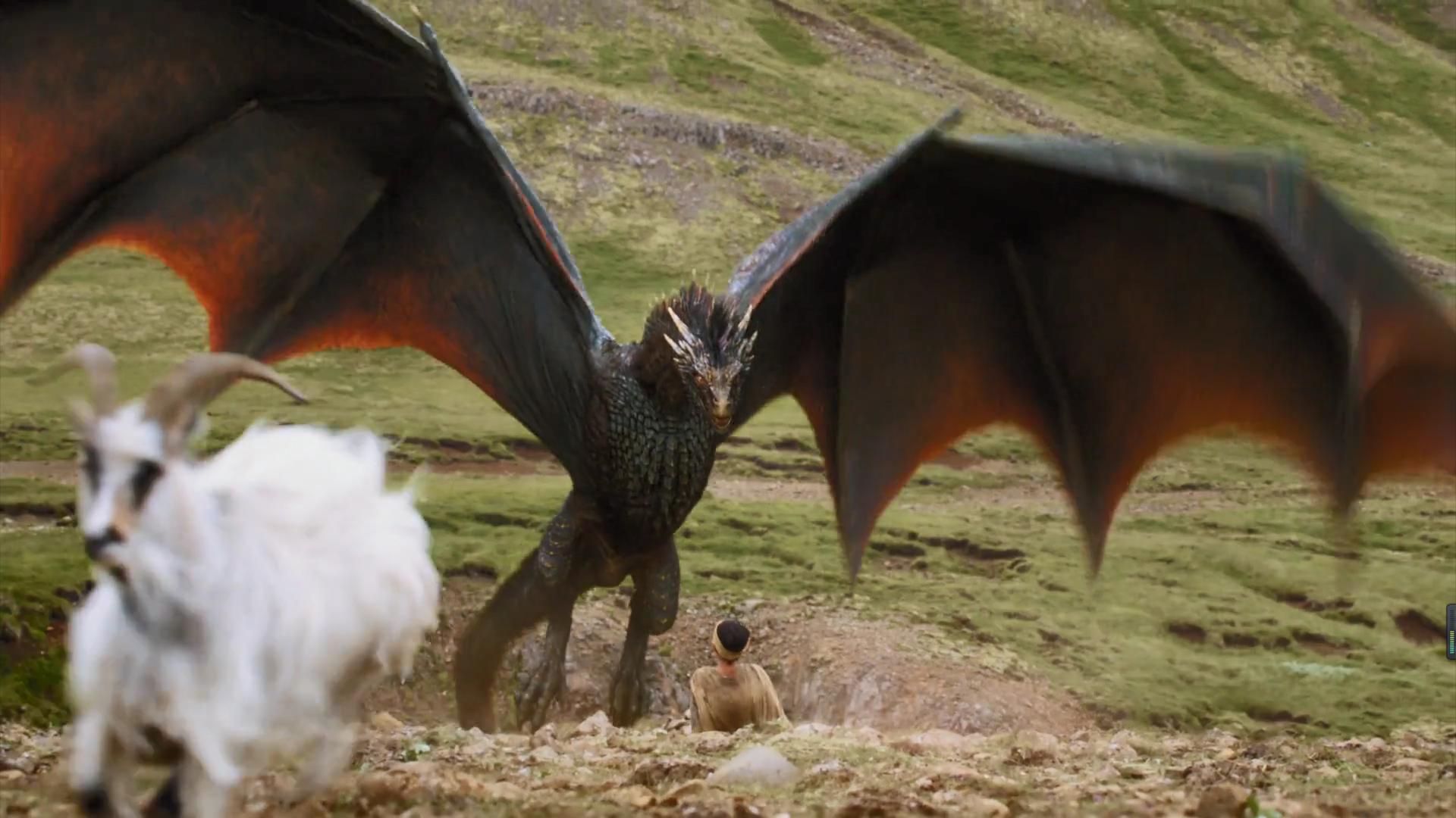 龙的成长之路完整版,龙的一生变化过程视频