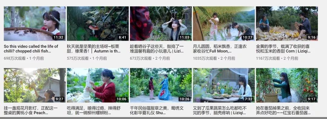 被央视点赞的李子柒算什么文化,李子柒被央视点赞