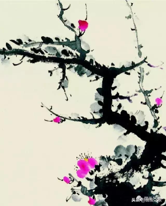 董寿平国画梅花老树干的画法,国画梅花花瓣的画法视频教程
