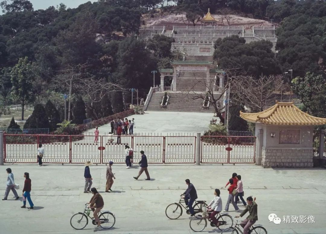 拾光汇影|第二期·珠海凤凰路