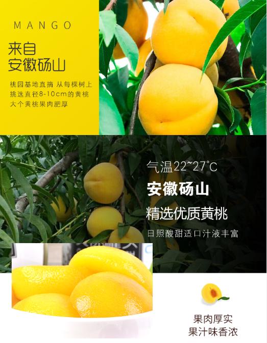 砀山黄桃罐头每提6盒超级好吃,砀山黄桃罐头本地一罐多少钱