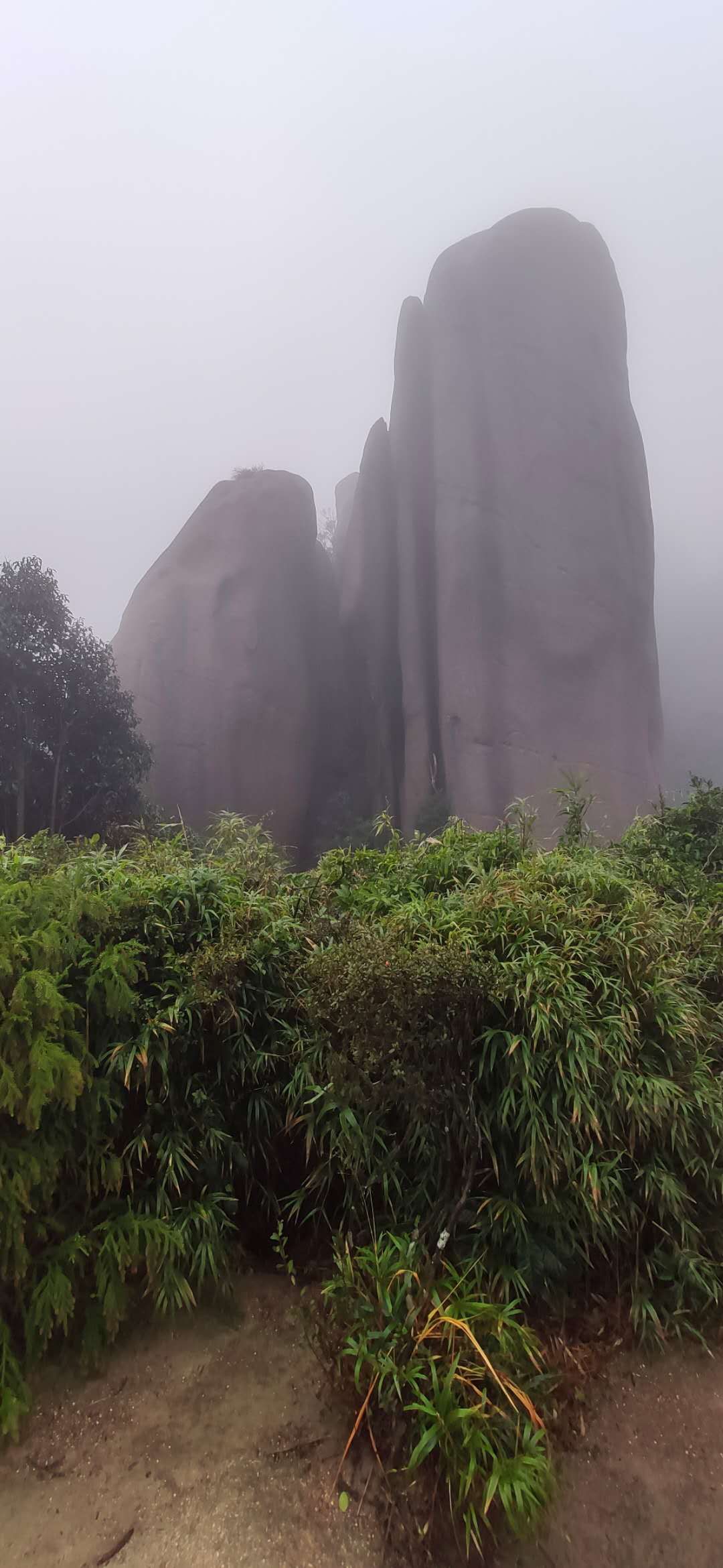 雨中游大奇山,雨中游太湖
