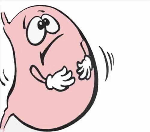 钙尔奇和朗迪哪个副作用大,钙片钙尔奇好还是朗迪好